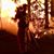 Aj Bozell's profile image