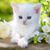 Heidi Johnson's profile image