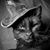 Julie Eckhardt's profile image