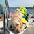 Steve Groot's profile image