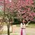 Trang Minh's profile image