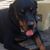 JM Hager's profile image