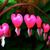 Amanda Desterhouse's profile image