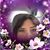 Paula A Murat's profile image