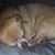 Tammie Rogers's profile image