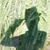 Alan Sacks's profile image