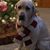 Sherry Lynn's profile image