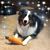 Carol MacSpadden's profile image