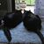 Jeanne Brady's profile image