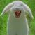 Jon Schmidt's profile image