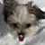 Sue Duffin Larson's profile image
