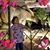 Rosio Bailon's profile image