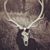 Jantzen Peake's profile image