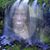 Sharon Jenkins Harris's profile image