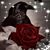 Lyn Raven Storm's profile image