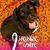 Jen Murphy's profile image