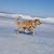 Kate Exner's profile image