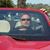 Nick Plantico's profile image