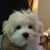 Garrison Tung's profile image