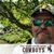 Daniel Prevedel's profile image