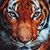 Jean Ryle's profile image