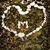 Diana Miller Meyers's profile image