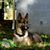 Ann Flatt's profile image