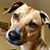 Scott C Evans's profile image