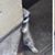 Wanderin Yukes's profile image