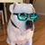 Ian Willis's profile image