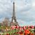 Linda Olivares's profile image