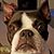 Russ Nichol's profile image