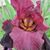 Theresa Wilson's profile image