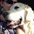 Anna Nycz's profile image