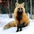 Tyler T. Mix's profile image