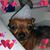Debbie Ercolani's profile image