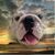 Jeff N Carol Sunderland's profile image