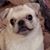 Holly A Bennett's profile image