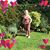 Celine Harvey's profile image