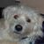 Kathy Norton-Dombrowski's profile image