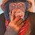 Rob Homerding's profile image