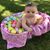 Julie Bradburn Camp's profile image