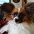 Deborah Fretwell's profile image