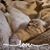 Donna Weatherly's profile image