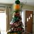 Tracy Immordino's profile image