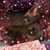 Lisa Redmer's profile image