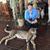 Deborah Freybe's profile image