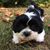 Tisha Hedges's profile image