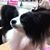 Donna McElroy's profile image