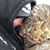 Rhea Hartley Nelson's profile image